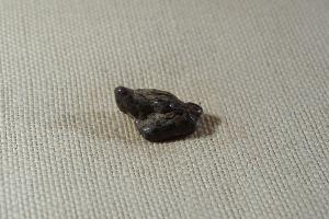Gold Basin Meteorite, from Arizona, U.S.A. (REF:GBM01)