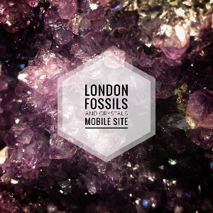 London Fossils and Crystals 