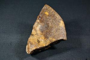 Ichthyosaurs Vertebrae Fragment, from Weymouth, Dorset, UK (REF:IVF1)