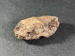 Tyrannosaurus Rex Bone Fragment, from Hell Creek Formation, Eastern Montana, U.S.A. (REF:TREX36)