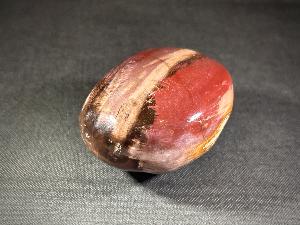 Polished Fossil Wood, from India (REF:FWI1)