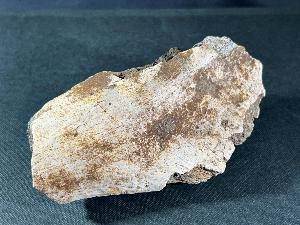 Hadrosaur Dinosaur Bone Fragment, from Judith River Formation, Montana, U.S.A. (REF:HDB1)