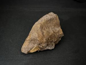 Iguanodon Bone, from Isle Of Wight, U.K. (REF:IBD3)