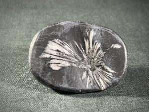 Chrysanthemum Stone (REF:CHRYST6)