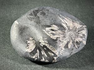 Chrysanthemum Stone (REF:CHRYST4)