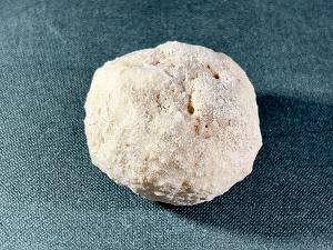 Fossil Sea Sponge, from Morocco (SPO4)